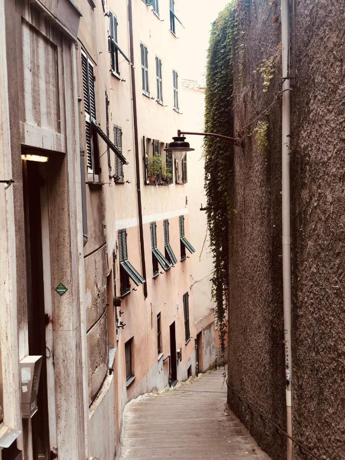 Apartamento Casetta Dello Zucchero Citra 010025-lt-1250